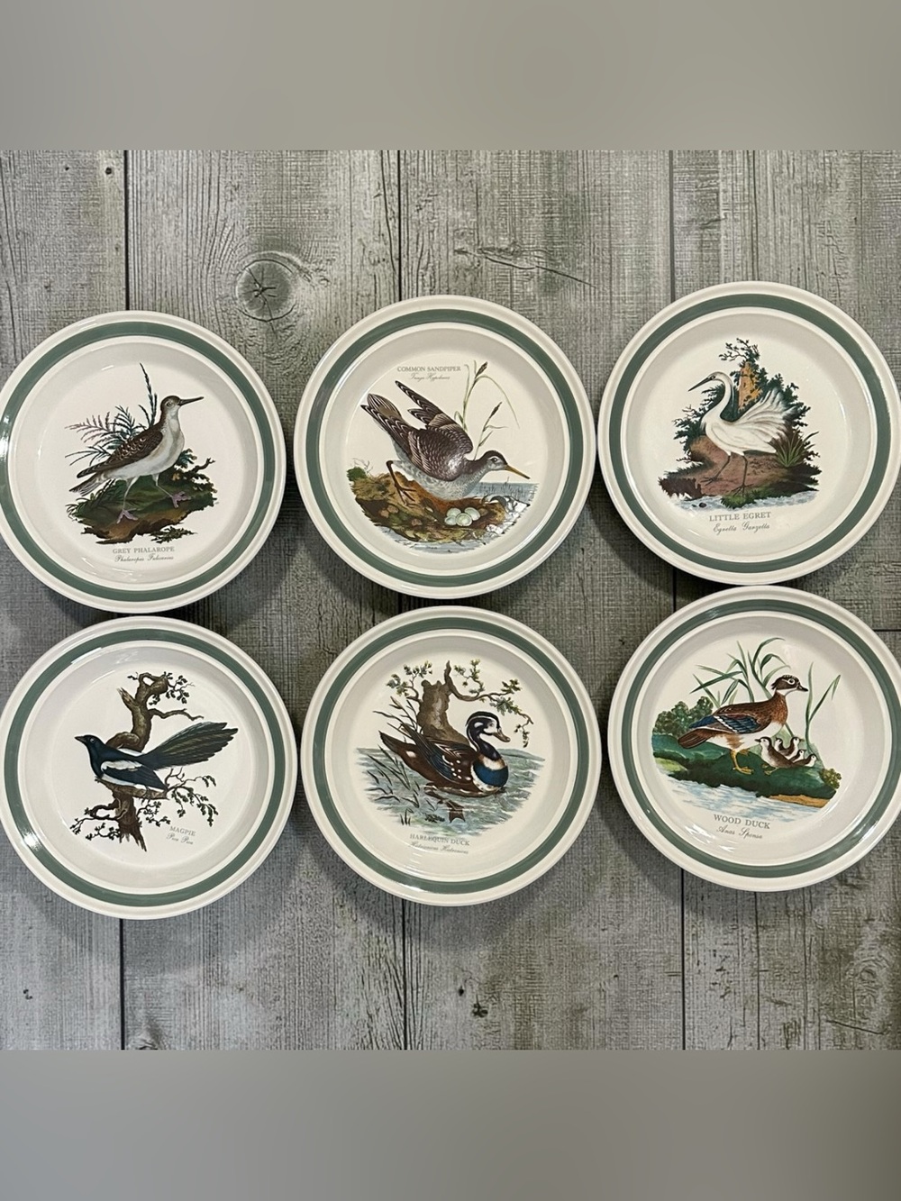 Vintage Portmeirion Birds of Britain 11” Plates Set of 6 Green Band 1978